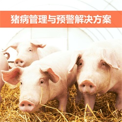 猪病管理与预警解决方案